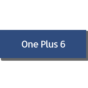 One Plus 6