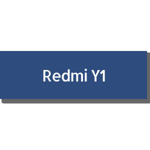 Redmi Y1