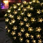 Flower LED 3